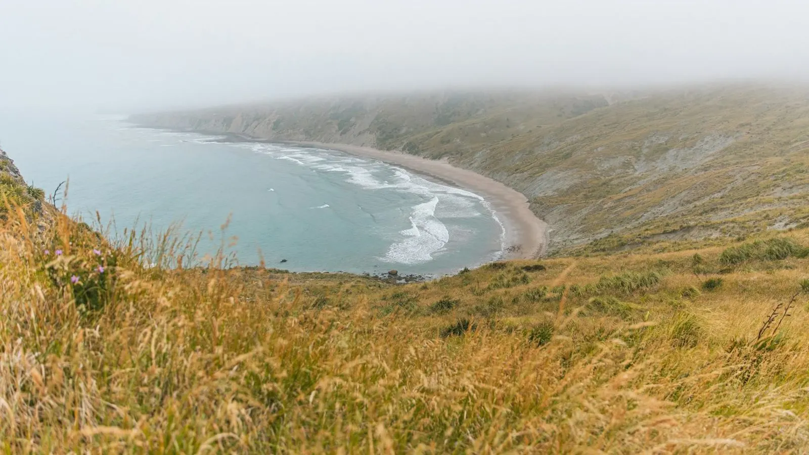 Sweeping sandy bay seen from a grassy hillside