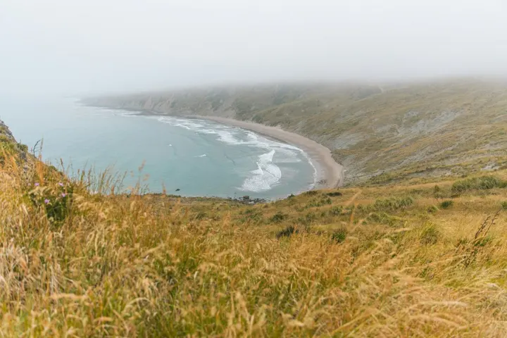 Sweeping sandy bay seen from a grassy hillside