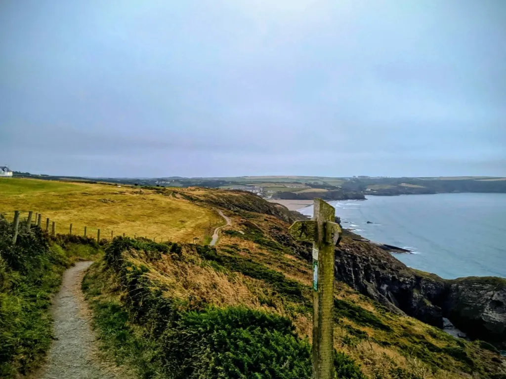 Coast path running along a grassy clifftop above the sea