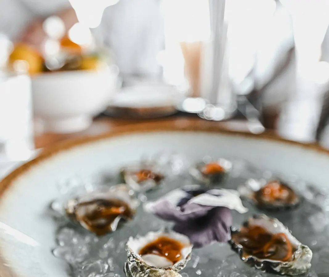 Fresh oysters on crushed ice