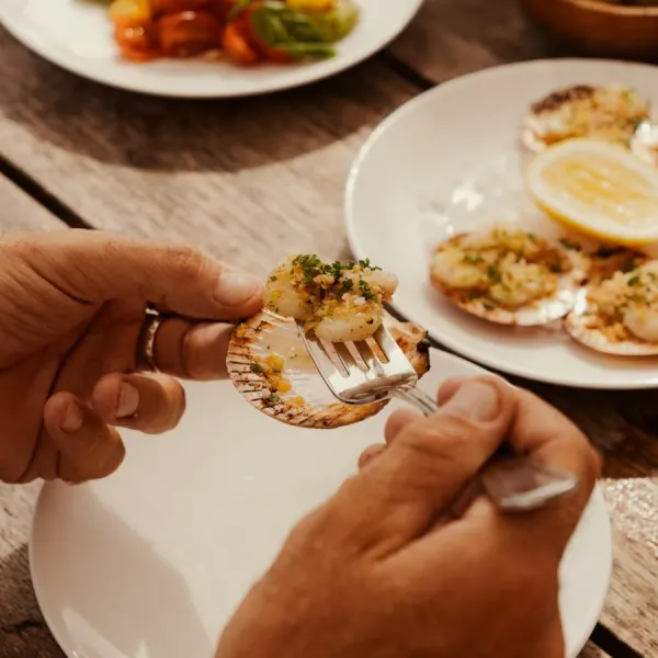 Baked scallops in their shells being eaten with a fork